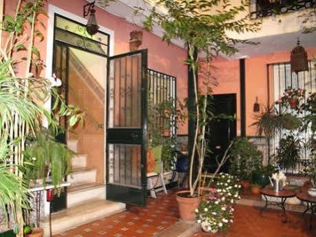 Gasthuis El Andaluz Málaga